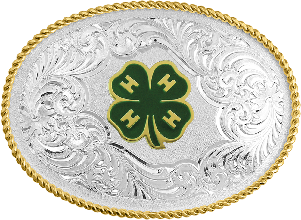 Montana Silversmiths Classic 4H Buckle - 1340